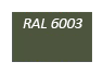 RAL-6003
