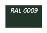 RAL-6009
