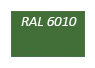 RAL-6010