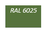 RAL-6025