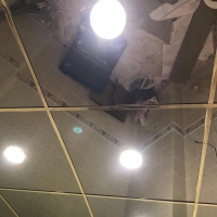 Зеркальный потолок с вставками хром в туалете