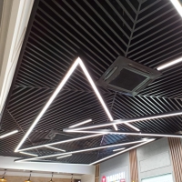 Кубообразный реечный потолок черного цвета с линейными LED светильниками из профиля